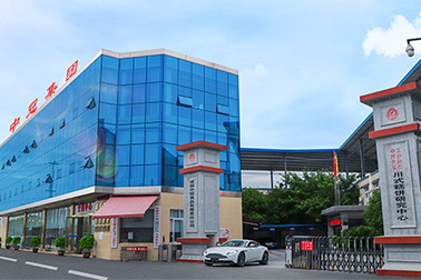 成都市买粽子在哪里可以买到